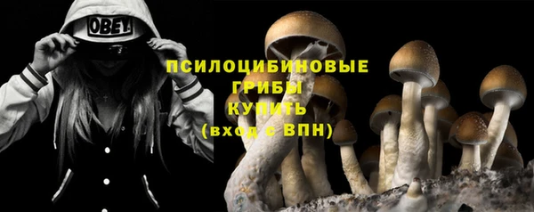 ALPHA PVP Михайлов