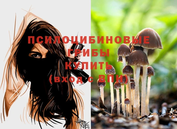 ALPHA PVP Михайлов