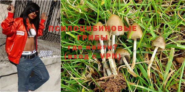 apvp Михайловск