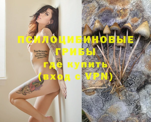 apvp Михайловск