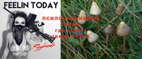 прущая мука Михайловка