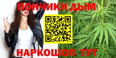 спиды Заводоуковск
