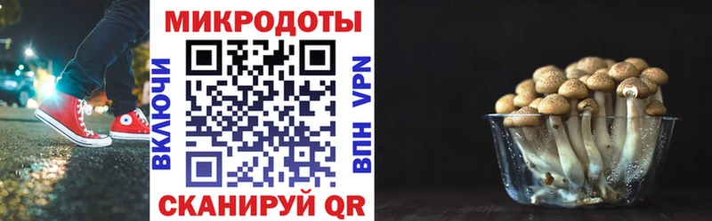 хочу наркоту  Павлово  shop какой сайт  Галлюциногенные грибы мухоморы 