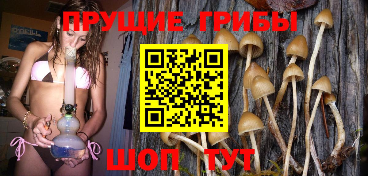 Псилоцибиновые грибы GOLDEN TEACHER  Псилоцибиновые грибы MAGIC MUSHROOMS  Павлово  Вход с VPN 