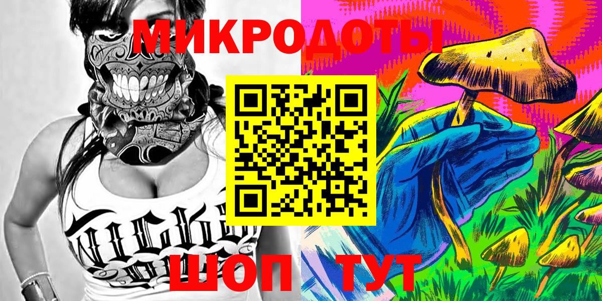 наркота  Павлово  Галлюциногенные грибы Psilocybe 